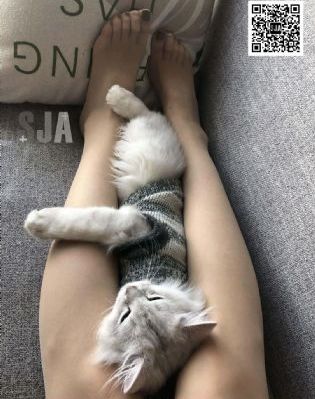 《秘密的女人》电视剧_BD国语影视在线观看
