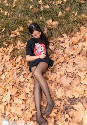 全网最全的短剧免费观看_高清电视剧在线观看